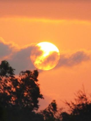 Passeios Turísticos